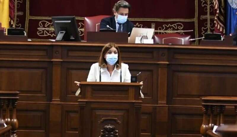 Carmen Hernández interviene en el Parlamento de Canarias/TA.